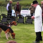 June 2012 The Blaston Hound Show