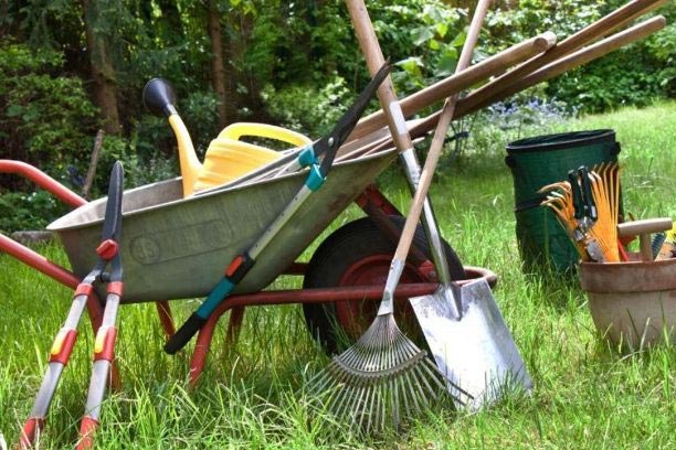 Various gardening tools in the garden
